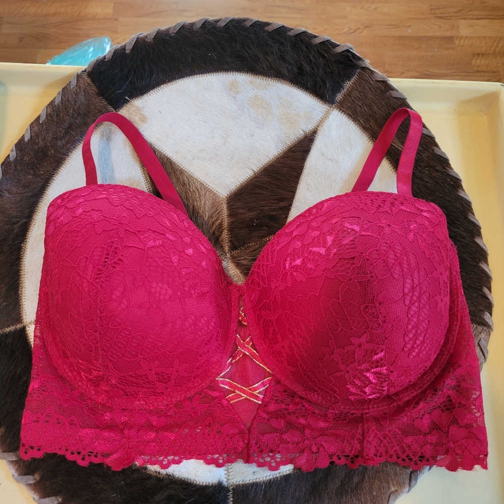 Body Frosting Beautiful Lace Bra Nwot 42d